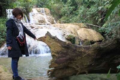 Một[-]gốc[-]cây[-]to[-]chưa[-]kịp[-]hóa[-]đá[-]do[-]suối[-]Hiêu[-]đang[-]vào[-]mùa[-]nước[-]cạn